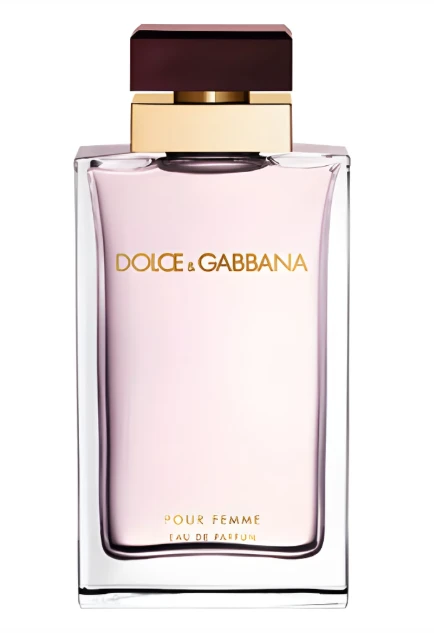 Dolce & Gabbana Pour Femme 100ml EDP for Women