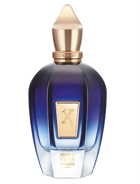 Xerjoff More Than Words Parfum Edp 100ml for Unisex