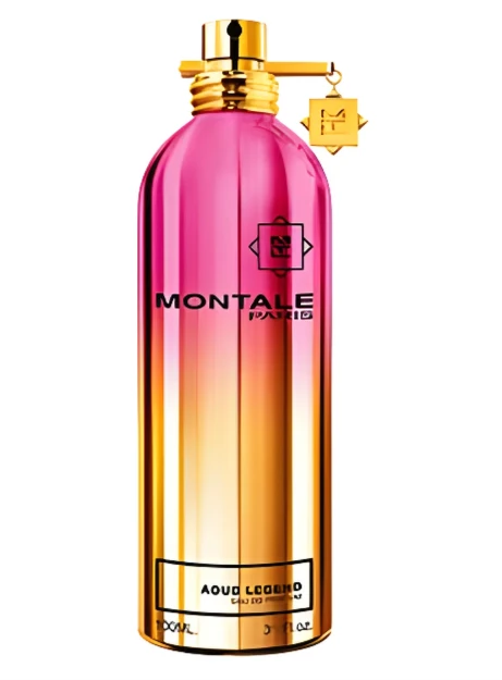 Montale Paris Aoud Legend 100ml EDP Unisex